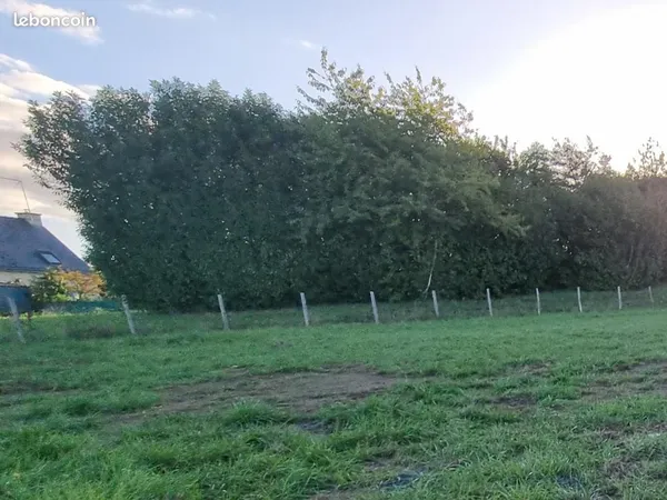Terrain 395 m² Janze