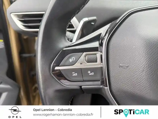 Peugeot 3008 1.5 bluehdi 130ch e6.c active business s&amp;s eat8 — photo 14
