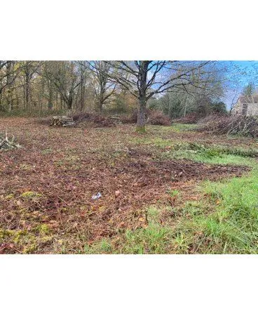 Terrain constructible et forêt