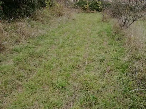 Terrain constructible