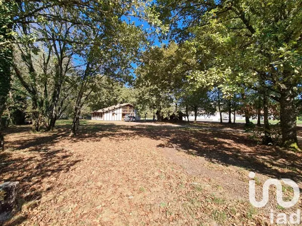 Terrain 1000 m²