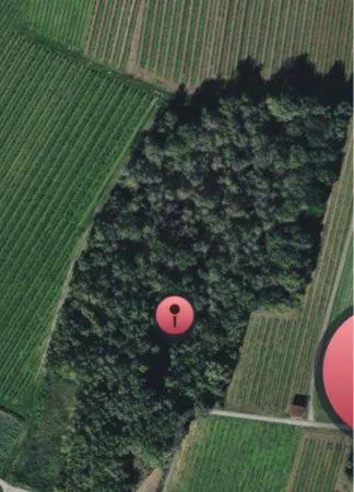 Parcelle de forêt