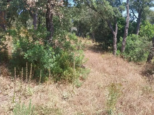 Terrain 1530 m²