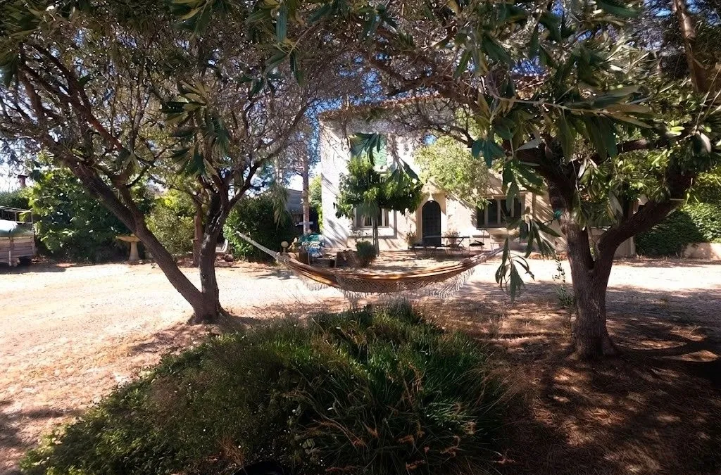 Photo 8