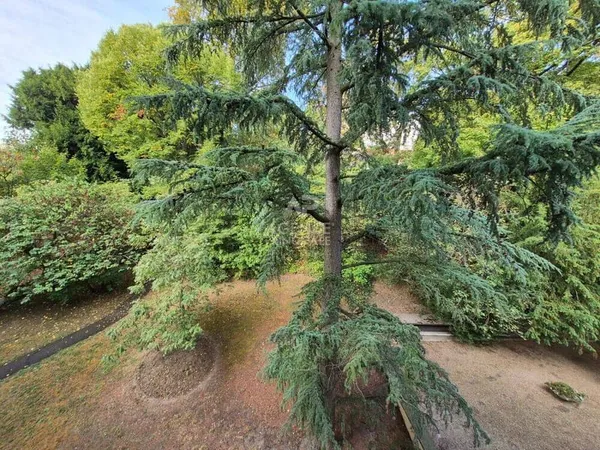 Appartement 1 pièce 23 m²