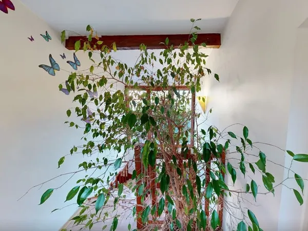 Appartement 6 pièces 121 m²