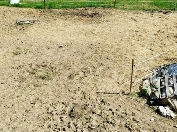Parc pour chevaux