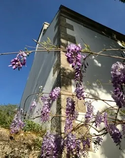 Vends maison