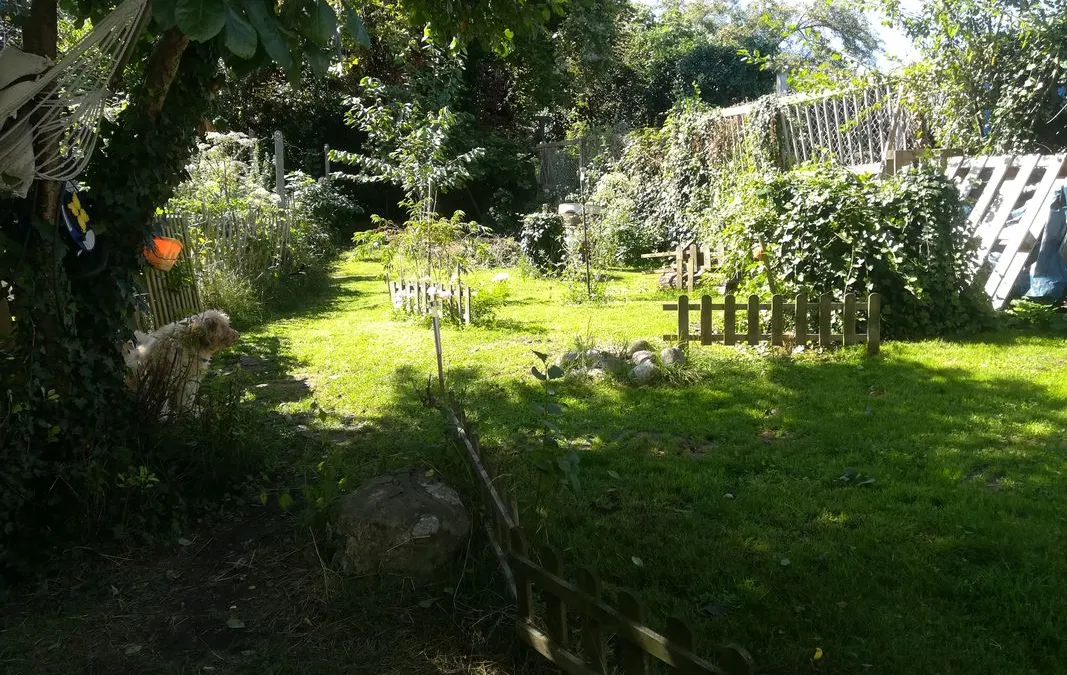 Photo 3