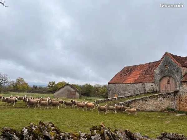 Ferme 3 pièces 400 m²