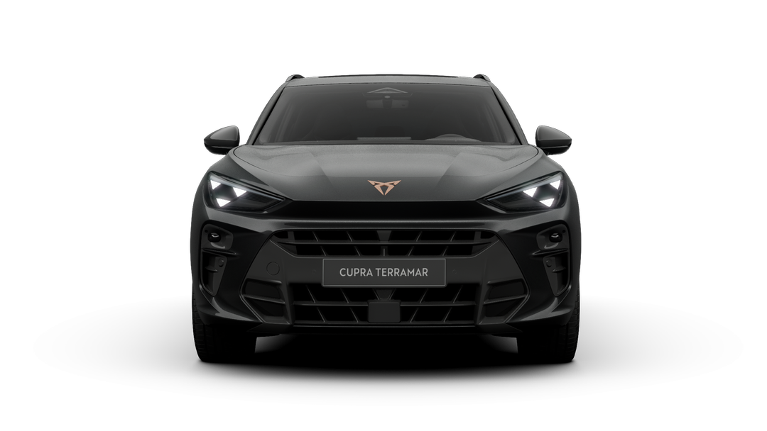 Cupra Terramar 1.5 eHybrid 204 ch DSG6 — photo 4