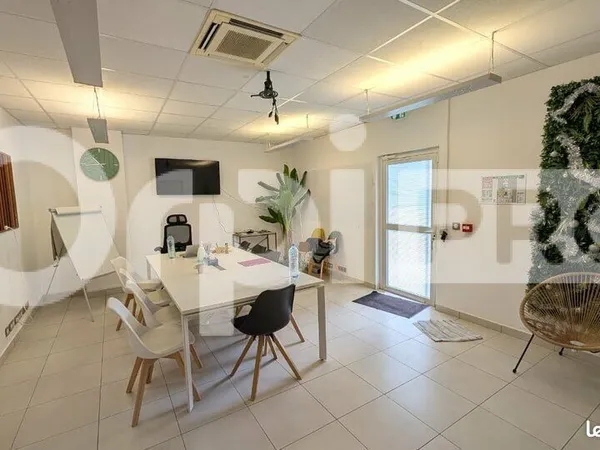 Bureau 230 m²