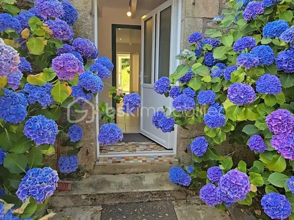 Maison 5 pièces 150 m²