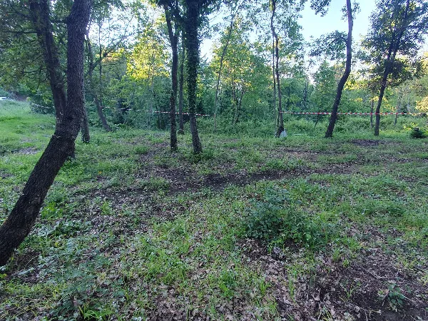 Terrain constructible 1545 m² Sorio Haute Corse