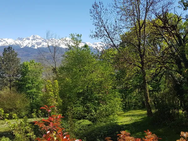 Appartement 6 pièces 120 m²