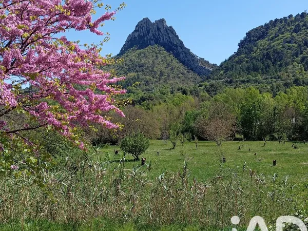 Terrain 10000 m²
