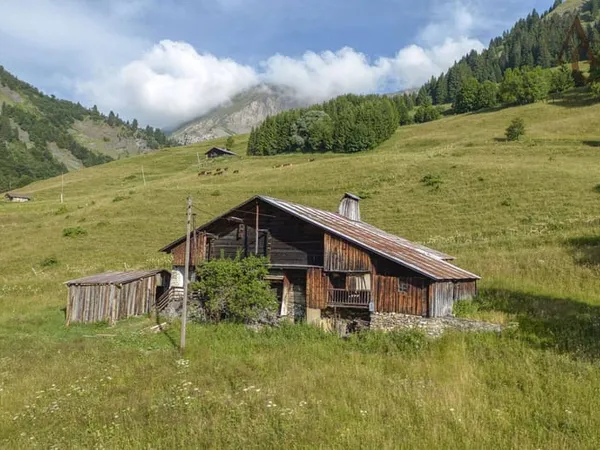 Chalet 3 pièces 300 m²