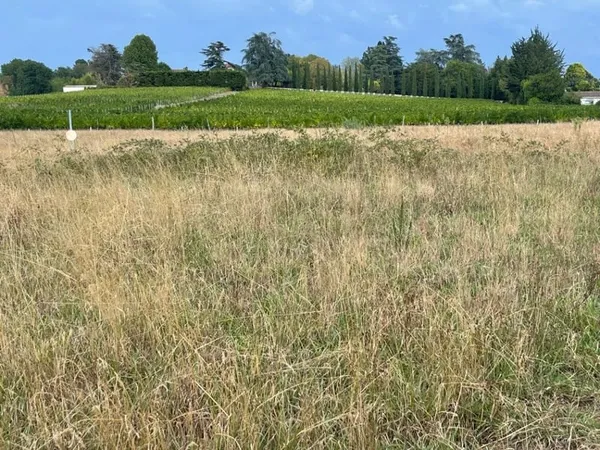 Terrain 705 m²