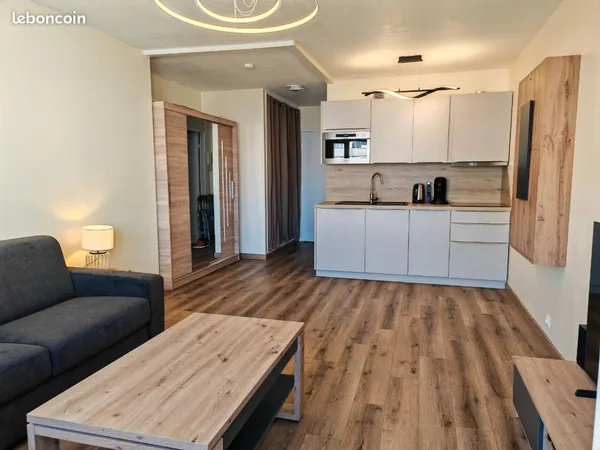Studio meublé tout équipé 28m2 renové neuf face frontière Suisse