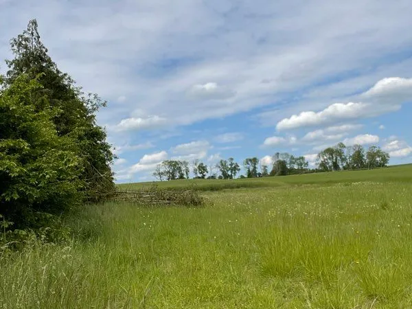A vendre terrain 1300 m2 a Acqueville