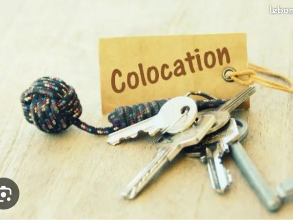 Recherche une colocataire