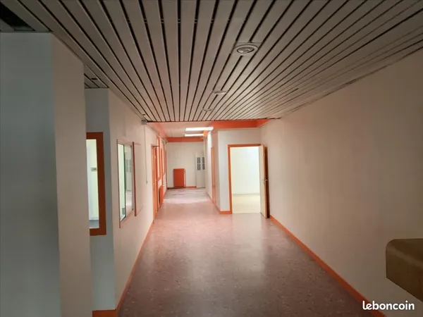 Local 291 m²