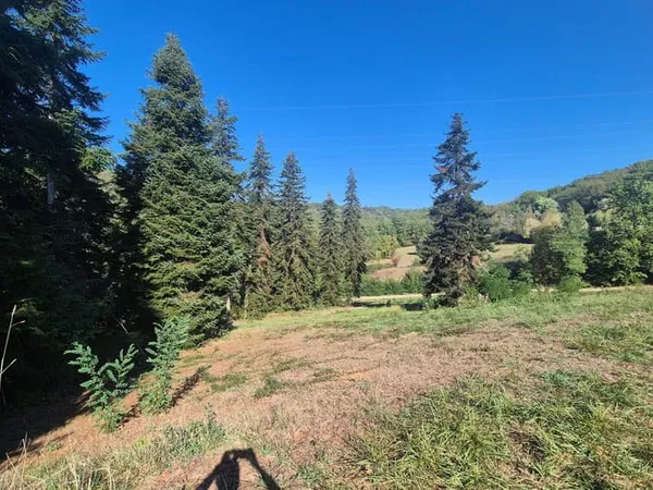 Terrain 1279 m²