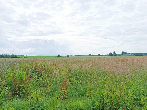 SECTEUR VALMONT, TERRAIN A BATIR ENTIEREMENT VIABILISE