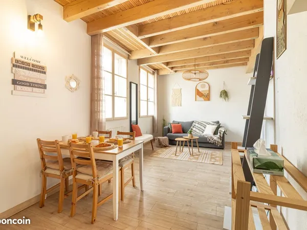 Avignon Intra Muros - Duplex T2.5 climatisé - 53 m² au sol (37 m² carrez)