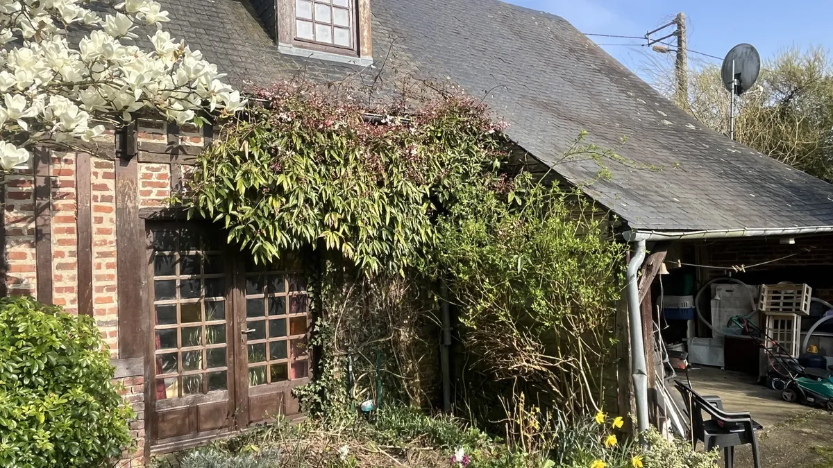 Photo 6
