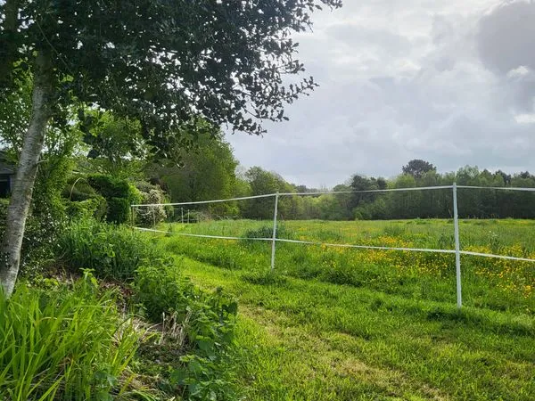 2 hectares environ ( 19770 m² )