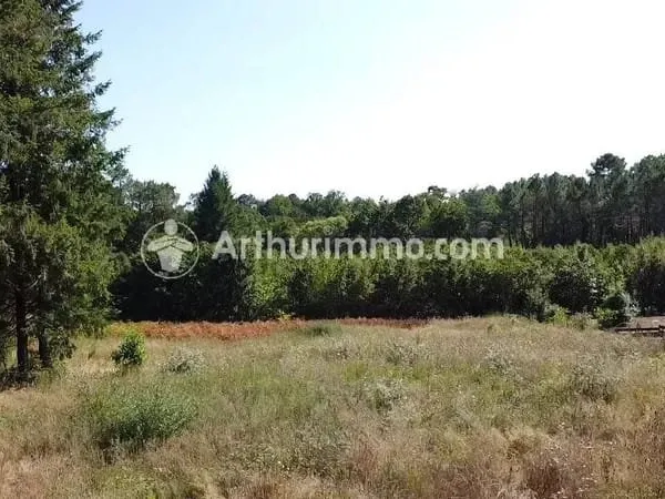 Terrain constructible 2921 m²