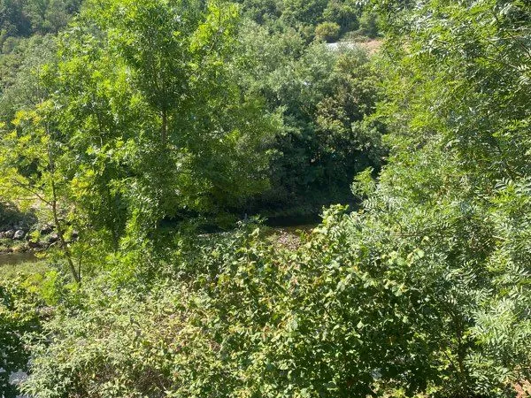 Apparemment de 75 m 2