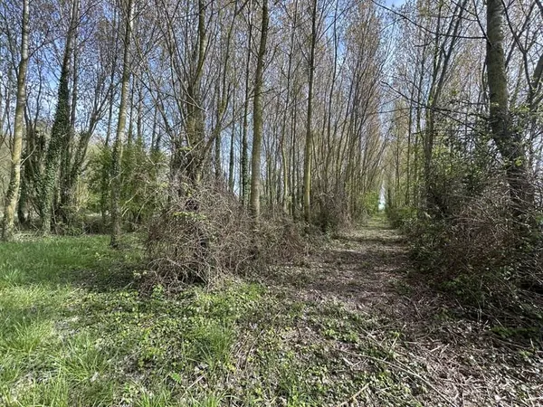 Terrain boisé à Cayeux-sur-Mer