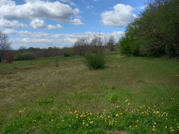 Au calme en campagne direction A68 beau terrain constructible