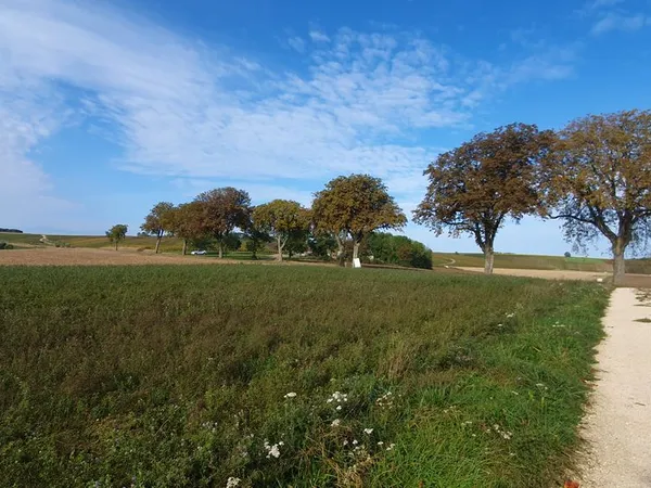 Terrain constructible à vendre à Saint-Usage 10360