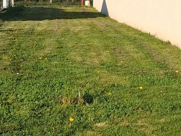 Vente Terrain Fleuré 86340