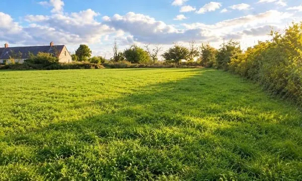 Terrain 1060 m²