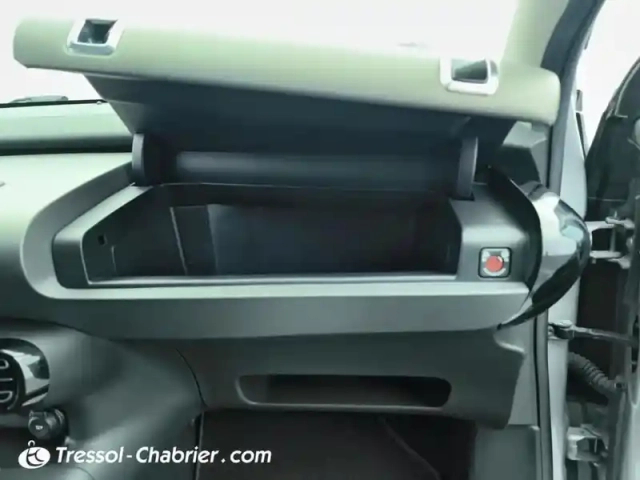 Citroën C4 cactus puretech 110 s&amp;s bvm6 shine — photo 16