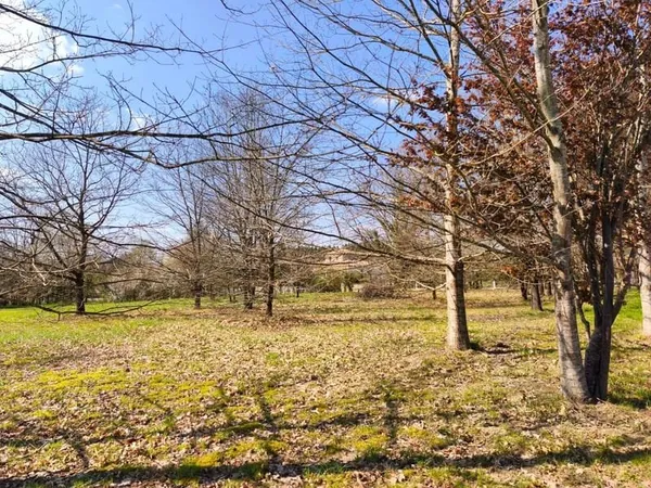 Terrain à bâtir Vente Nègrepelisse  3503m² 94500€