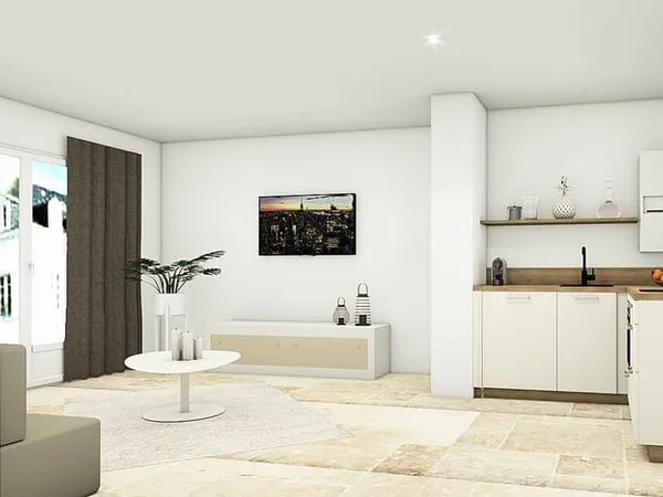 Duplex 1 pièce 31 m²