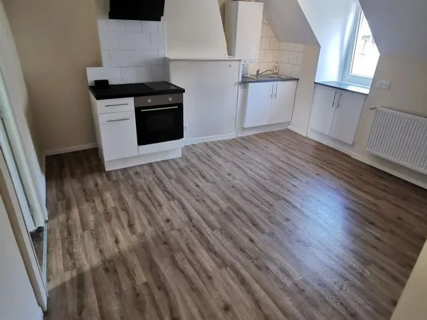 Appartement T3 non meublé, jardin, centre ville