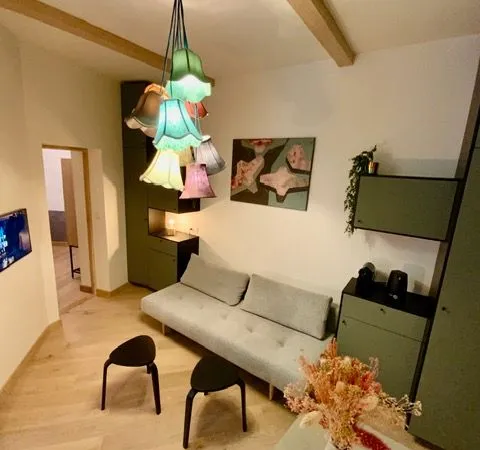 Nantes Graslin - T2 30,7 m² rénové par architecte - 154 000