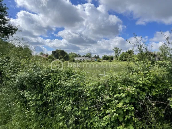 Terrain 770 m²