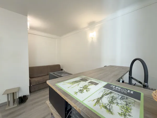 Appartement 1 pièce 20 m²