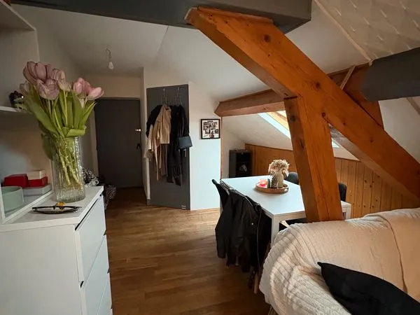 Location Appartement 45m2
