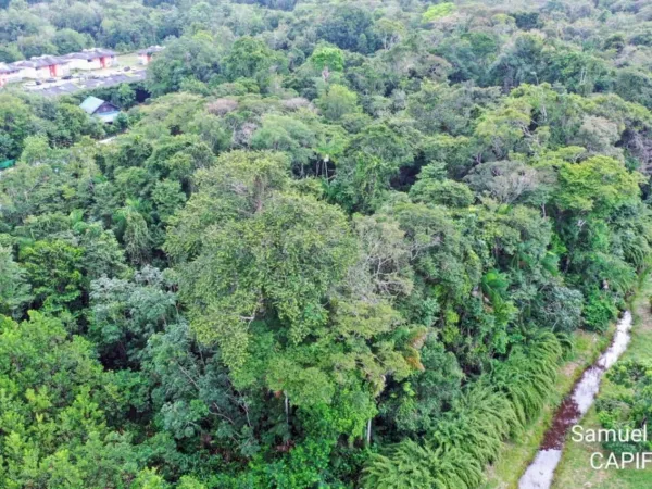 Terrain 15000 m²