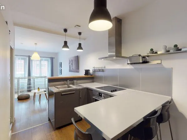 T2 quartier Saint Cyprien meublé électricité eau et internet compris