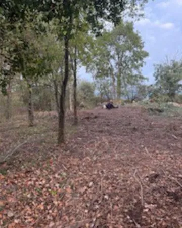 Terrain pour amoureux de la nature