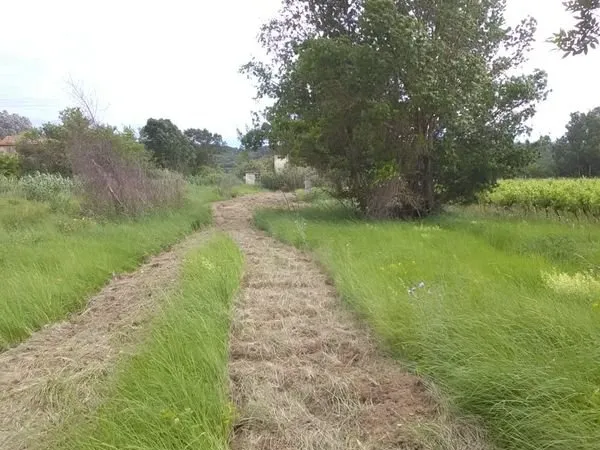 Terrain de loisirs, potager